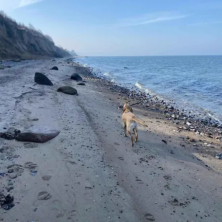House Close To The Semesterbostad Skovs-Hojrup