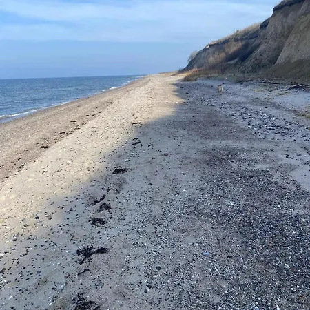 Close To The Beach, * Skovs-Hojrup